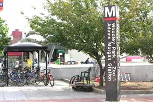 2370 Champlain St NW, Washington, DC 20009 - Photo 40