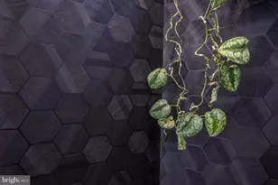 1444 Ogden St NW, Washington, DC 20010 - Photo 104