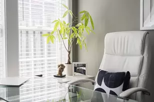 3310 Theodore R Hagans Dr NE, Washington, DC 20018 - Photo 22
