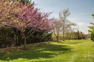 3310 Theodore R Hagans Dr NE, Washington, DC 20018 - Photo 10