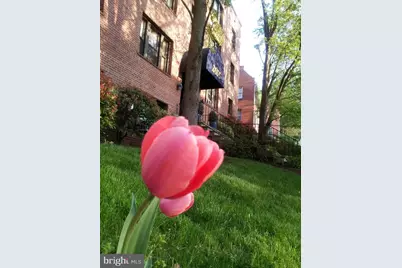 2655 41st Street NW #202, Washington, DC 20007 - Photo 2