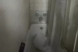 1151 44th Pl SE, Washington, DC 20019 - Photo 50