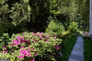 2867 Tilden St NW, Washington, DC 20008 - Photo 82
