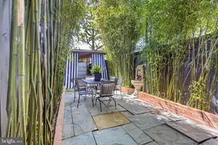 1317 Potomac Ave SE, Washington, DC 20003 - Photo 2