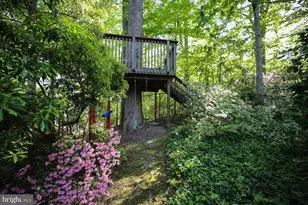 2824 Ellicott St NW, Washington, DC 20008 - Photo 26