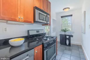 3314 Mt Pleasant St NW, Washington, DC 20010 - Photo 22