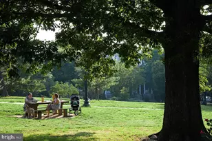1750 Harvard St NW, Washington, DC 20009 - Photo 26