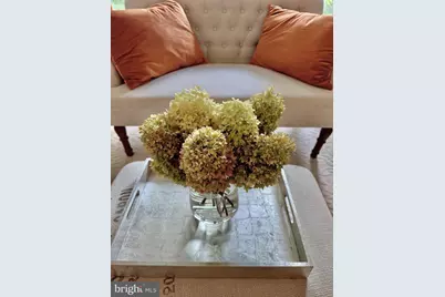 2500 Q Street NW #307, Washington, DC 20007 - Photo 4