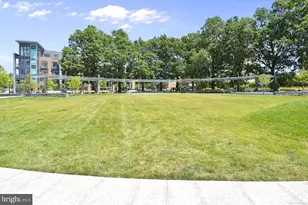 335 N St SW, Washington, DC 20024 - Photo 38