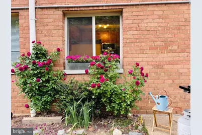 2710 Macomb Street NW #111, Washington, DC 20008 - Photo 2
