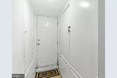 952 Shepherd Street NW #LOWER LEVEL, Washington, DC 20011 - Photo 4