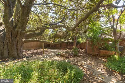 5103 Chevy Chase Parkway NW, Washington, DC 20008 - Photo 54