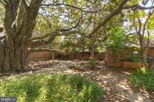 5103 Chevy Chase Pkwy NW, Washington, DC 20008 - Photo 54