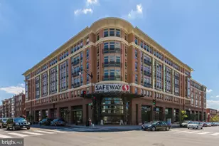 916 Shepherd St NW, Washington, DC 20011 - Photo 58