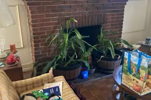 2005 Franklin St NE, Washington, DC 20018 - Photo 2