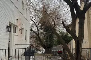 4253 Brooks St NE, Washington, DC 20019 - Photo 22