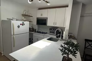313 C St SE, Washington, DC 20003 - Photo 4