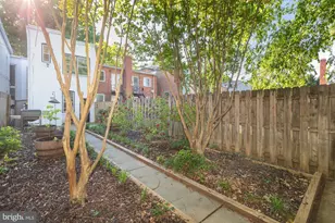 238 14th St SE, Washington, DC 20003 - Photo 42