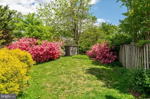 4543 Alton Pl NW, Washington, DC 20016 - Photo 42