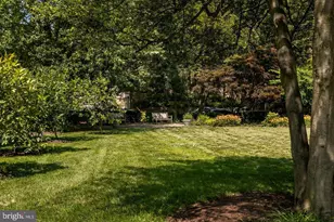 4600 Connecticut Ave NW, Washington, DC 20008 - Photo 8