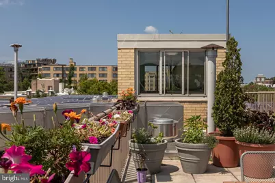 4600 Connecticut Avenue NW #717, Washington, DC 20008 - Photo 10