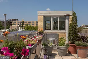 4600 Connecticut Ave NW, Washington, DC 20008 - Photo 10