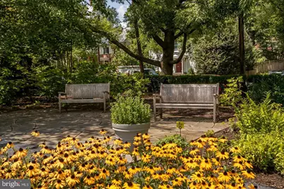 4600 Connecticut Avenue NW #717, Washington, DC 20008 - Photo 4