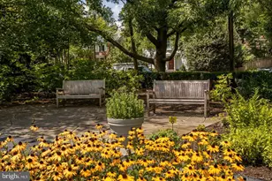 4600 Connecticut Ave NW, Washington, DC 20008 - Photo 4