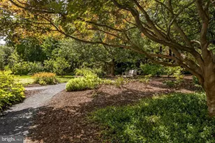4600 Connecticut Ave NW, Washington, DC 20008 - Photo 6