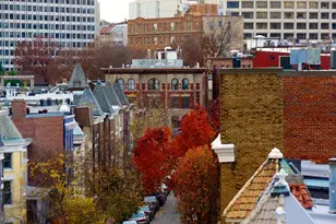 1736 Willard St NW, Washington, DC 20009 - Photo 24
