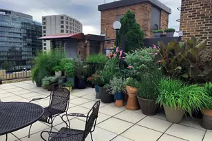 1825 T St NW, Washington, DC 20009 - Photo 12