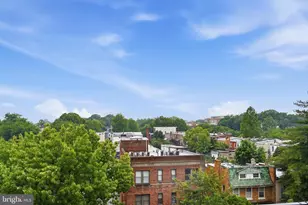 256 15th St SE, Washington, DC 20003 - Photo 46