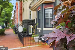 230 11th St SE, Washington, DC 20003 - Photo 4
