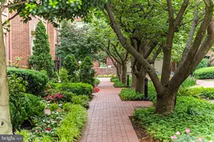 3533 Winfield Lane Northwest, Washington, DC 20007 - Photo 2