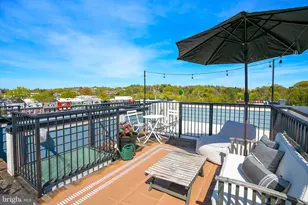 3569 Warder St NW, Washington, DC 20010 - Photo 22