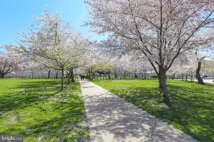 424 East Capitol St NE, Washington, DC 20003 - Photo 24