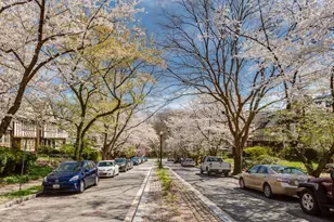 4407 Greenwich Pkwy NW, Washington, DC 20007 - Photo 50