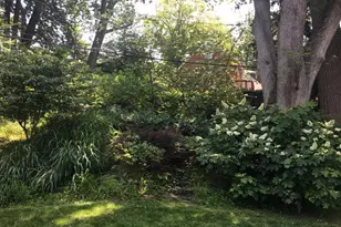 3717 Fordham Rd NW, Washington, DC 20016 - Photo 24