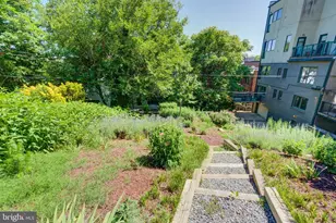 1468 Belmont St NW, Washington, DC 20009 - Photo 44