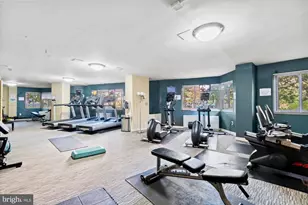 4600 Connecticut Ave NW, Washington, DC 20008 - Photo 18