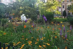 1908 17th St NW, Washington, DC 20009 - Photo 16