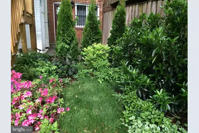 3150 19th Street NW #BASEMENT, Washington, DC 20010 - Photo 20