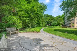 4600 Connecticut Ave NW, Washington, DC 20008 - Photo 34
