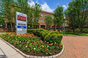 4200 NW Cathedral Ave NW, Washington, DC 20016 - Photo 74