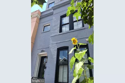 2298 Champlain Street NW #B, Washington, DC 20009 - Photo 2