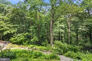 3001 Veazey Terrace NW, Washington, DC 20008 - Photo 26