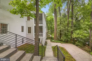 3517 Rodman St NW, Washington, DC 20008 - Photo 52
