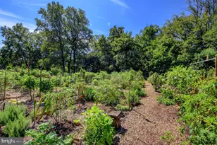 3041 Sedgwick NW, Washington, DC 20008 - Photo 38