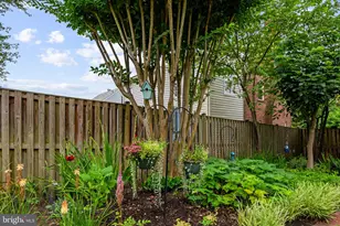 2824 McKinley Pl NW, Washington, DC 20015 - Photo 64