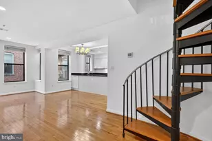 2627 Adams Mill Rd NW, Washington, DC 20009 - Photo 6